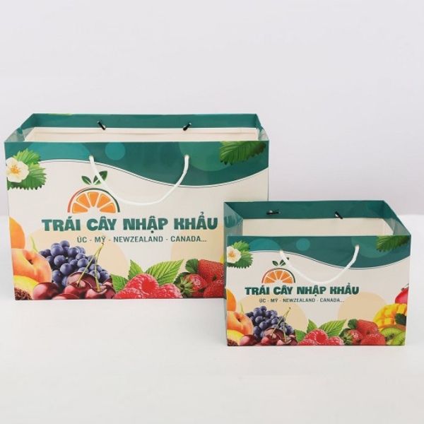Túi - khay hoa quả