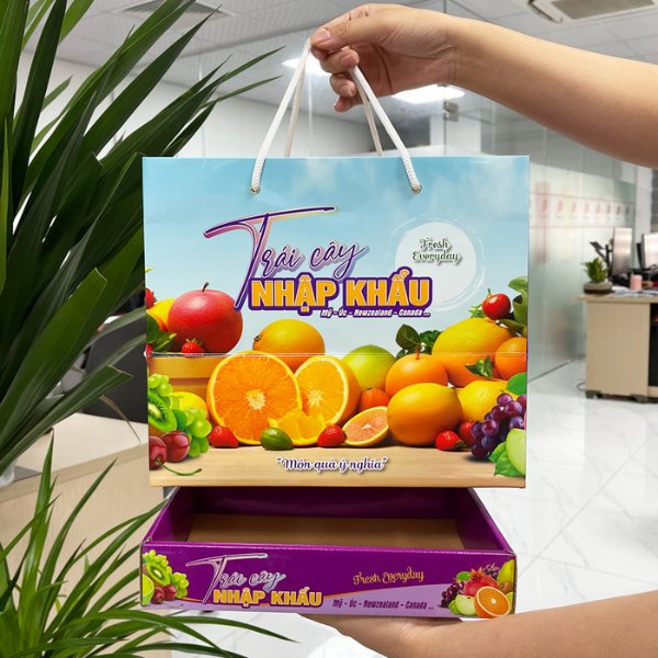 Túi - khay hoa quả