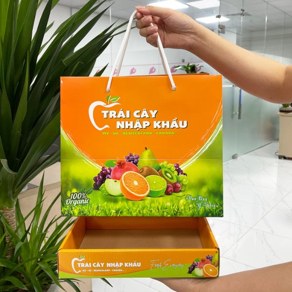 Túi - khay hoa quả